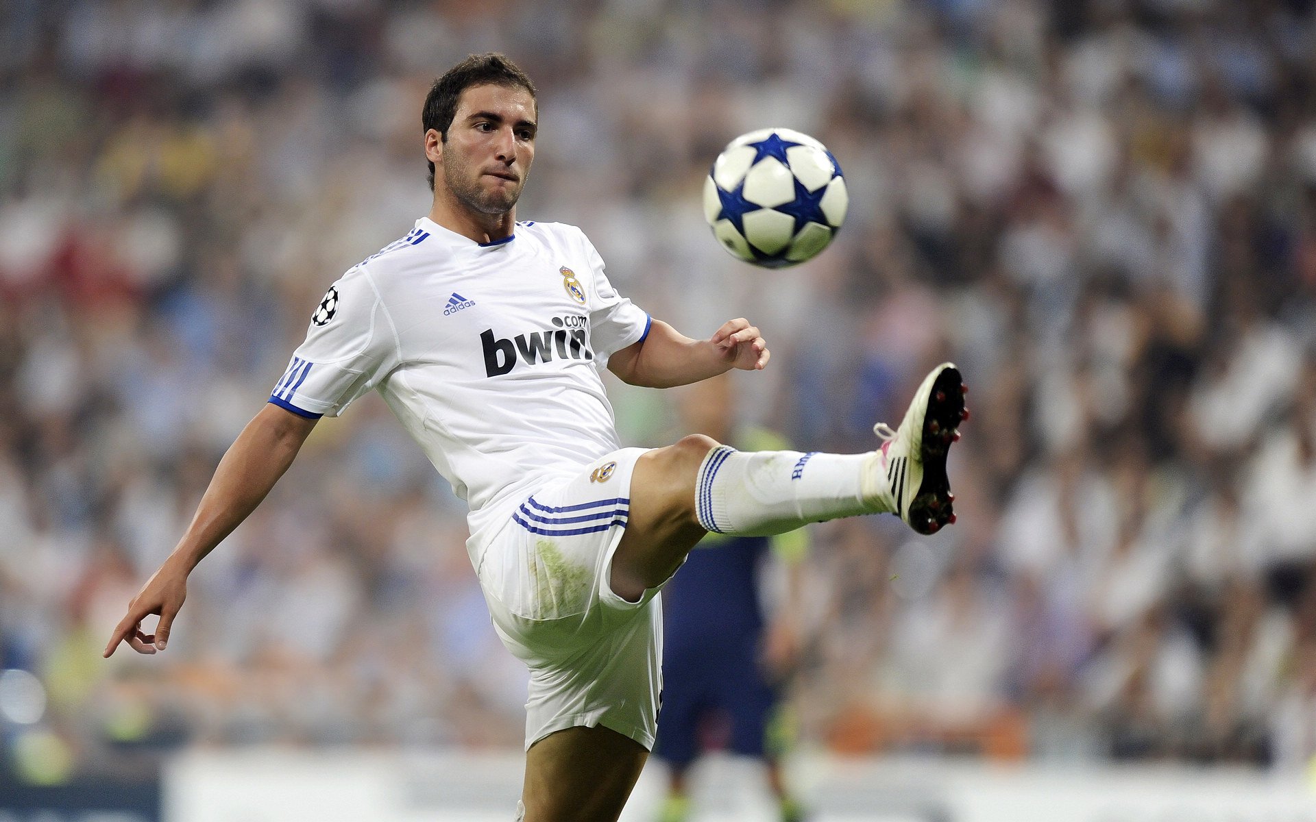 马丁内利里程碑之战，当丹麦童话遇上荷兰郁金香