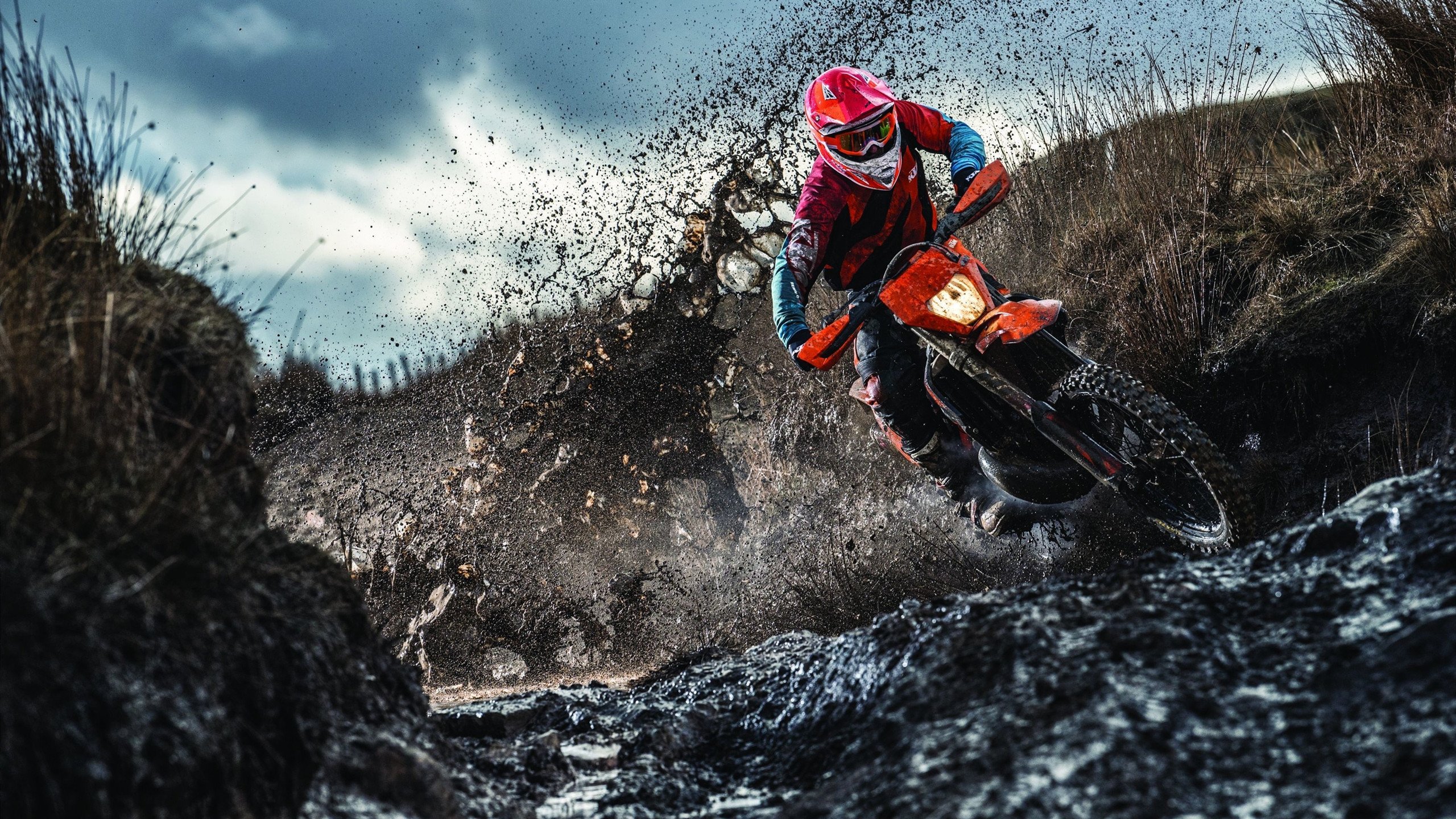 F1新赛季揭幕战，当老鹰掠走勇士的桂冠